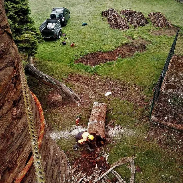 Notrepa Arboricultura terreno
