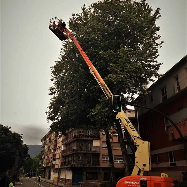 Notrepa Arboricultura grúa