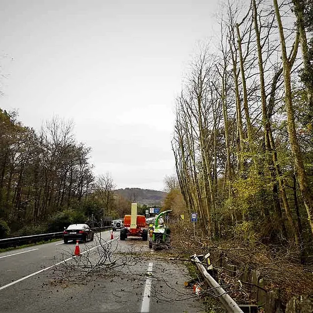 Notrepa Arboricultura trabajo de poda en la vía